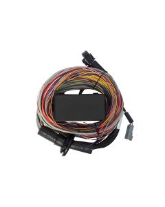 Haltech Elite 750 Premium Universal Wire-in Harness Length: 2.5m (8')
