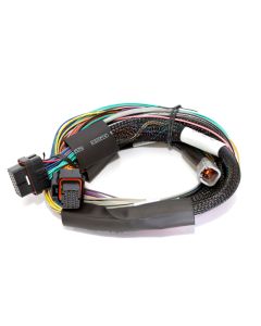 Haltech Elite 2500 & 2500 T Basic Universal Wire-in Harness Length: 2.5m (8')