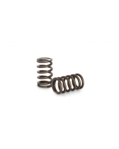 Kelford RB25NEO Valve Spring Kit