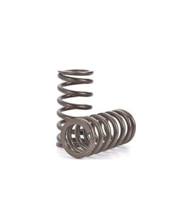 Nissan RB25 NEO Valve Spring Kit