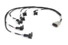 i6 Timer EV1 Primary Injector Harness