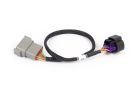 Nexus Rebel LS 8-Pin DBW Adaptor - Electronic Throttle Integration
