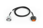 Nexus Rebel JZ R154 Transmission Harness