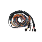 Color-coded labeled wires for Haltech Nexus R3 harness