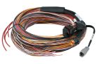 Haltech PD16 Flying Lead Harness 5M wiring connector