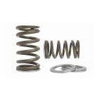 Ford Ranger BT50 4-cylinder 16V valve spring set with shims