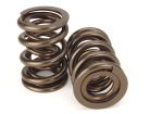 Performance Dual Valve Spring Kit for HOLDEN ISUZU 4ZD1 4ZE1