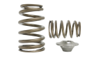 Kelford SR20VE Beehive Springs with Titanium Retainers