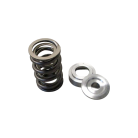 Nissan VQ30/VQ35 Dual Valve Spring with Titanium Retainer Kit