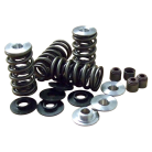 Chev LS1 Dual Valve Spring and Titanium Retainer Kit