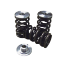 Holden V6 Ecotech Valve Spring and Titanium Retainer Kit