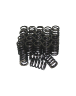 Performance Springs Toyota 2JZ Valve Spring Kit