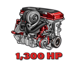 Race bearings and engine rebuild kit assembly