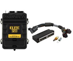 Elite 2500 PnP Adapt Kit for Nissan Skyline R34 GT-T