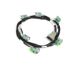 i6 GT150 USCAR EV6 Primary Injector Harness detail view
