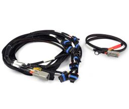 Nexus V8 IGN-1A Ford Harness