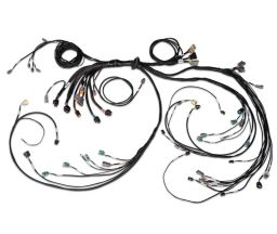 Nexus R5 LSx DBW terminated harness