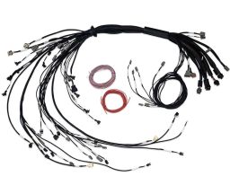 Nexus R5 LSx Non DBW Terminated Harness