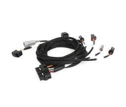 Nexus Plug-in DBW Expansion Harness detail view