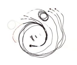 HALTECH Semi Terminated Stand-Alone Harness For iC-7 Display Dash