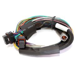 Haltech Elite 2500 & 2500 T Basic Universal Wire-in Harness Length: 2.5m (8')