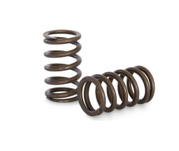 Performance Springs Mitsubishi 4G63 16v Valve springs