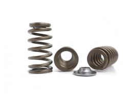 Kelford Barra Valve Springs K