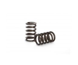 Kelford 1FZ / TB48 Valve Springs