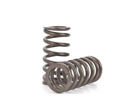 Performance Valve springs Nissan FJ20 DOHC Valve Spring Set