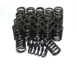 Performance Springs Nissan RB20 Valve Spring Set