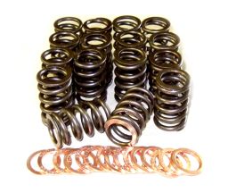 Toyota 3RZ Valve Spring Kit