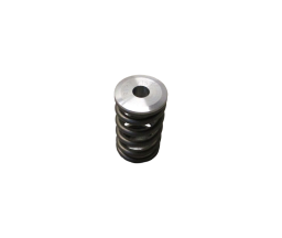 Performance Springs Nissan VQ30 / VQ35 Single Valve Spring and Ti-Retainer Kit