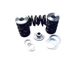 Performance Springs Nissan RB26 Single/Ti-Ret Kit